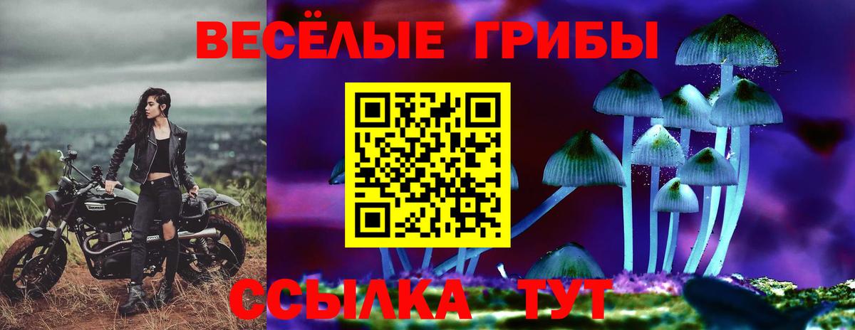 Псилоцибиновые грибы ЛСД Всеволожск