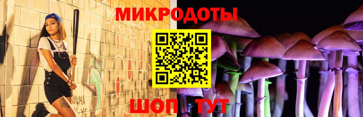 Галлюциногенные грибы Psilocybe  Вход с VPN  Всеволожск 